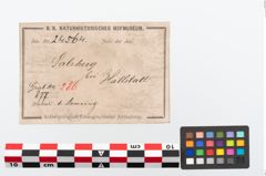 Etikett zu Bronzearmreif (NHMW-PRAE-024564)